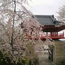 白石駅で借りたレンタサイクルで行きました。