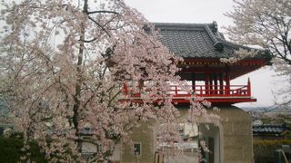 桜がきれいなお寺です。