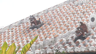 竹富島☆赤瓦屋根には家々のシーサー