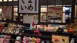 目からウロコのこのサイズ！