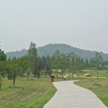 丘だけのアップの写真だと何が何だかわかりません。