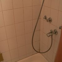 シャーワーのみ