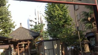 午年の守本尊です。