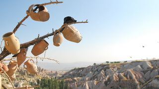 雄大な景色に圧倒されます