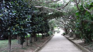 ひっそり静かにねむる @たまうどぅん