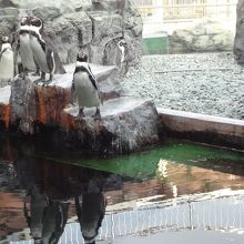 姫路市立水族館