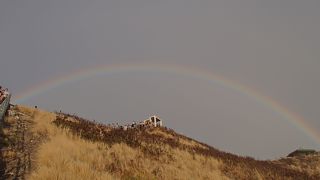 意外と気軽に登れる。
