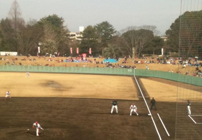 都城運動公園 クチコミ アクセス 営業時間 都城 フォートラベル