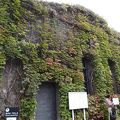 赤レンガの建物とツタが印象的です。