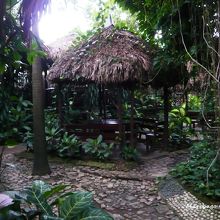 このような小屋がいくつも点在しています