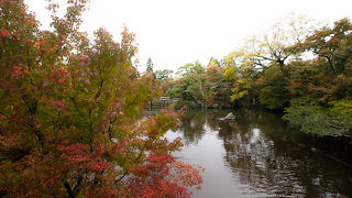 11月中頃が紅葉の見頃か??