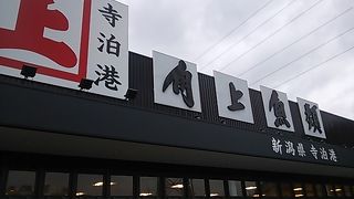 新潟県　寺泊港　角上魚類