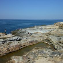 駐車場から海側を望む
