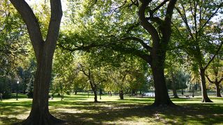 秋の紅葉が美しいボストン・コモン。ふらっと散歩するのにおすすめ！