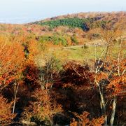 レンゲツツジはもちろん、紅葉も。