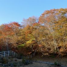 ”学校平”ストーンサークル先の牧場の景色。