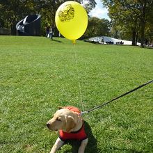 西10丁目の大通公園