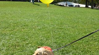 札幌のシンボル