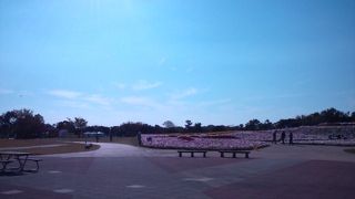 おっきなお山の遊具があります