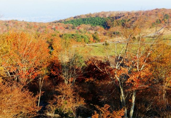 レンゲツツジはもちろん、紅葉も。