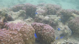 今度は宿泊してみたいです。