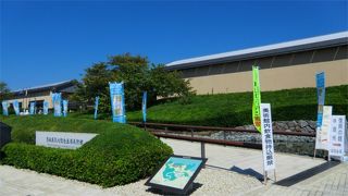 五浦観光のひとつに。