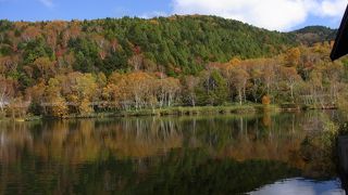木戸池の周りを散歩