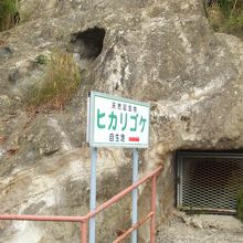 この金網の奥にヒカリゴケが…