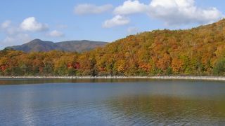 琵琶池で紅葉を眺める
