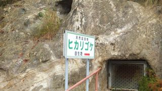 ヒカリゴケあとわずか