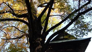 片参りにならないように。。。