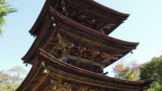 お庭がとにかく素敵