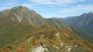 紅葉がきれいでした