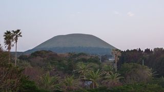 形がプリンを連想しました。