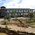 動物園ホテル　癒されます