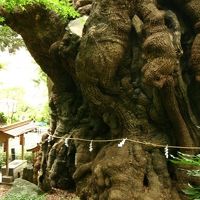 來宮神社