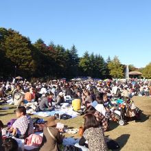 花も無い所でお花見客風の人多数。知らずに見るとビックリします