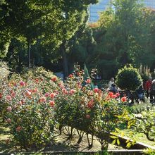 何のイベントの無い日でも、癒されます。
