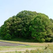 京田辺市の大住車塚古墳(おおすみくるまづかこふん）