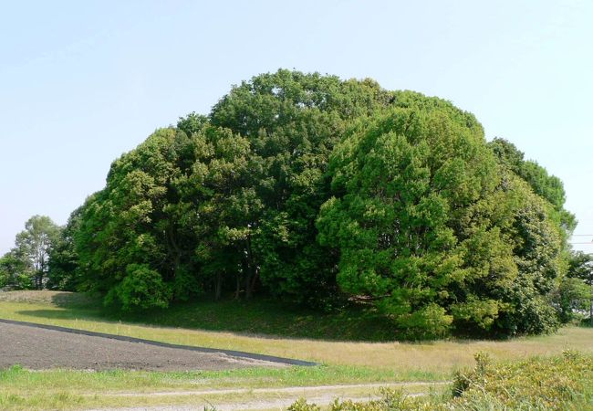 京田辺市の大住車塚古墳(おおすみくるまづかこふん）