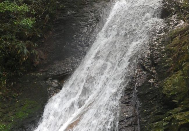 済浄坊の滝