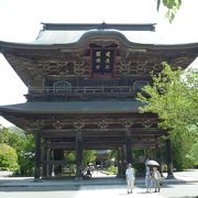 建長寺 --- 「鎌倉五山の第一位」のお寺です。境内には国重文の建物がズラリ！