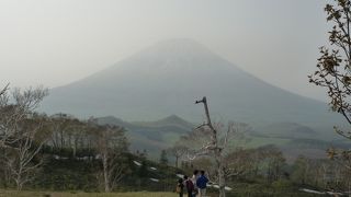 これが蝦夷富士！