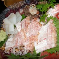 のどぐろ、いか、さざえの刺身