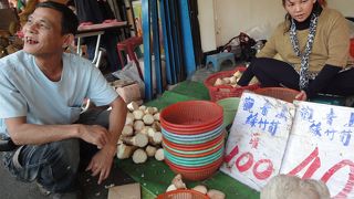 台北の朝の観光スポットはここ！