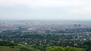 ウィーンを一望できる丘