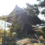 南宗寺、文化財特別公開で行ってきました