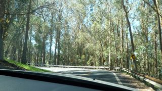 レンタカーで行けます！高山病に注意。