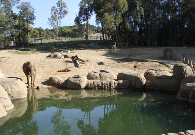 オークランド動物園