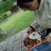 久留米森林つつじ公園 クチコミ アクセス 営業時間 久留米 フォートラベル